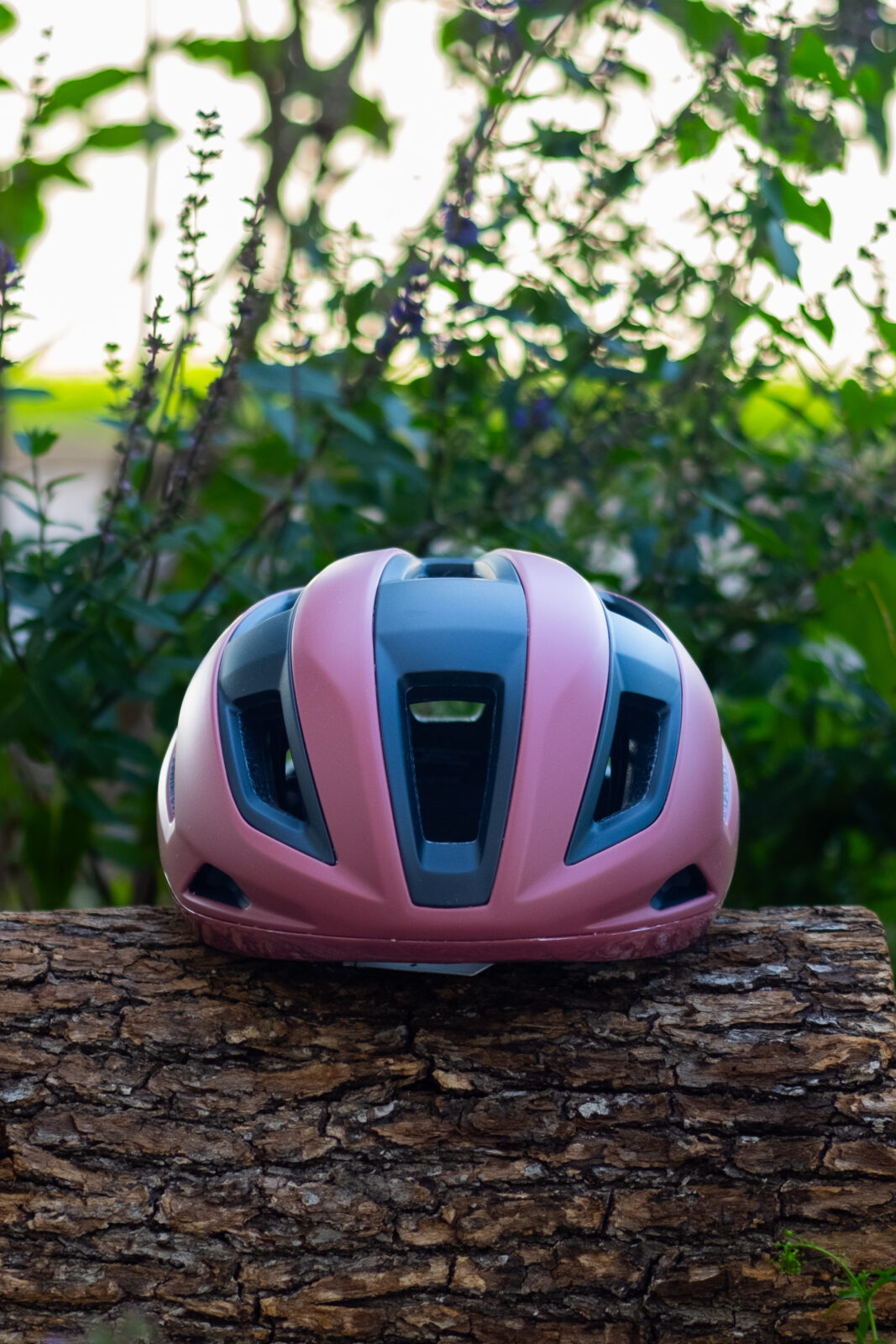 Велошлем Specialized Search Spice