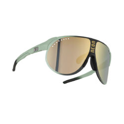 Очки Neon TITAN Salvia Black Limited