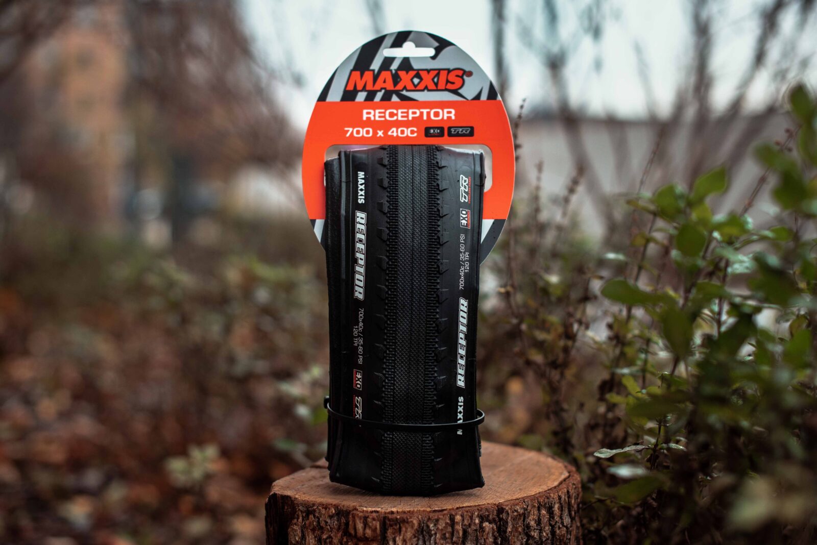 Покрышка Maxxis Receptor Black
