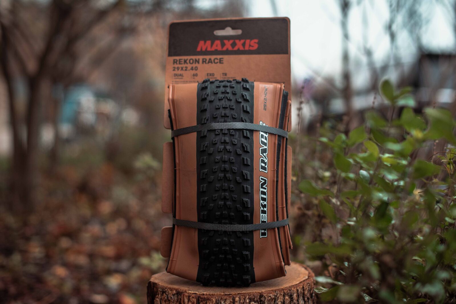 Покрышка Maxxis Rekon Race Tanwall