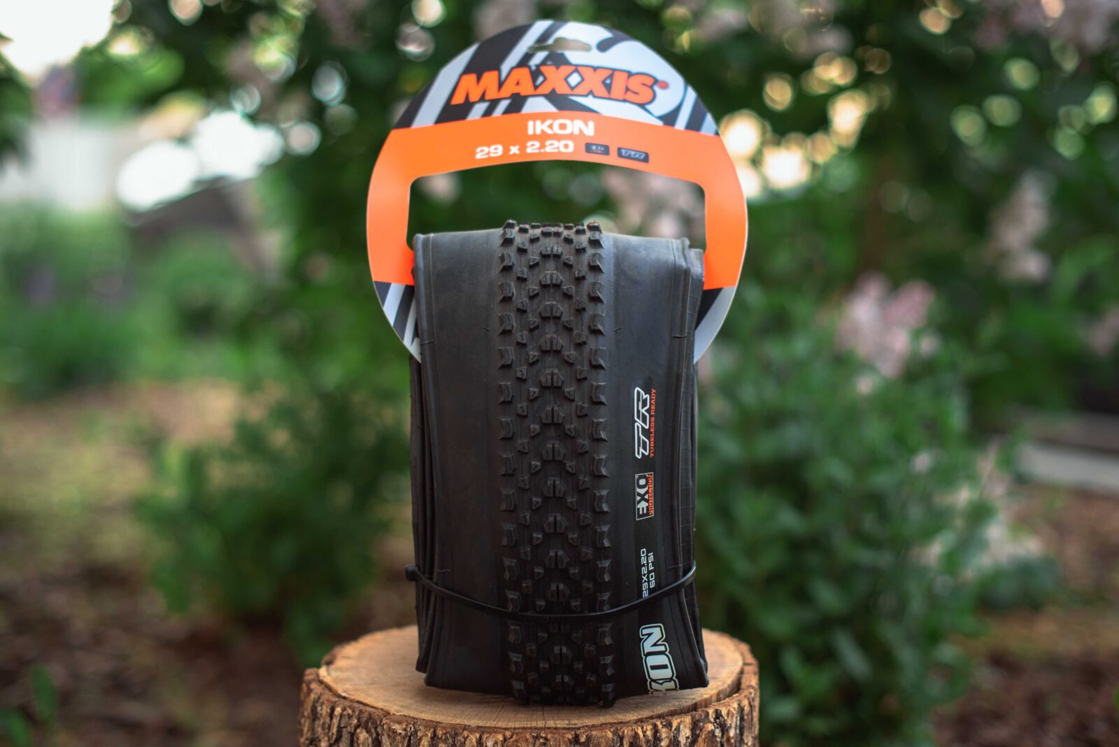 Покрышка Maxxis Ikon Black