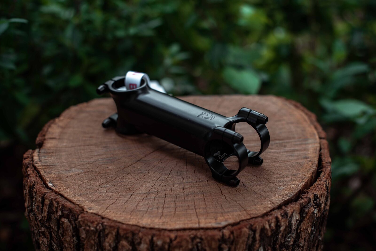 Вынос Bjorn Gor Black