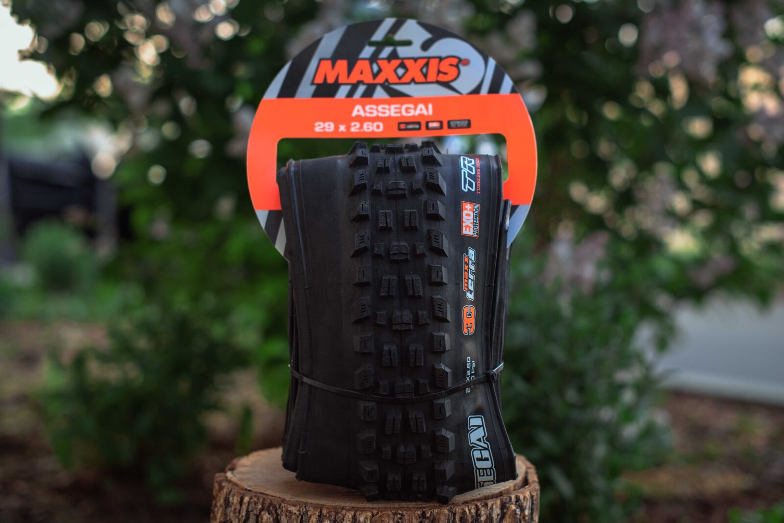Покрышка Maxxis Assegai Black