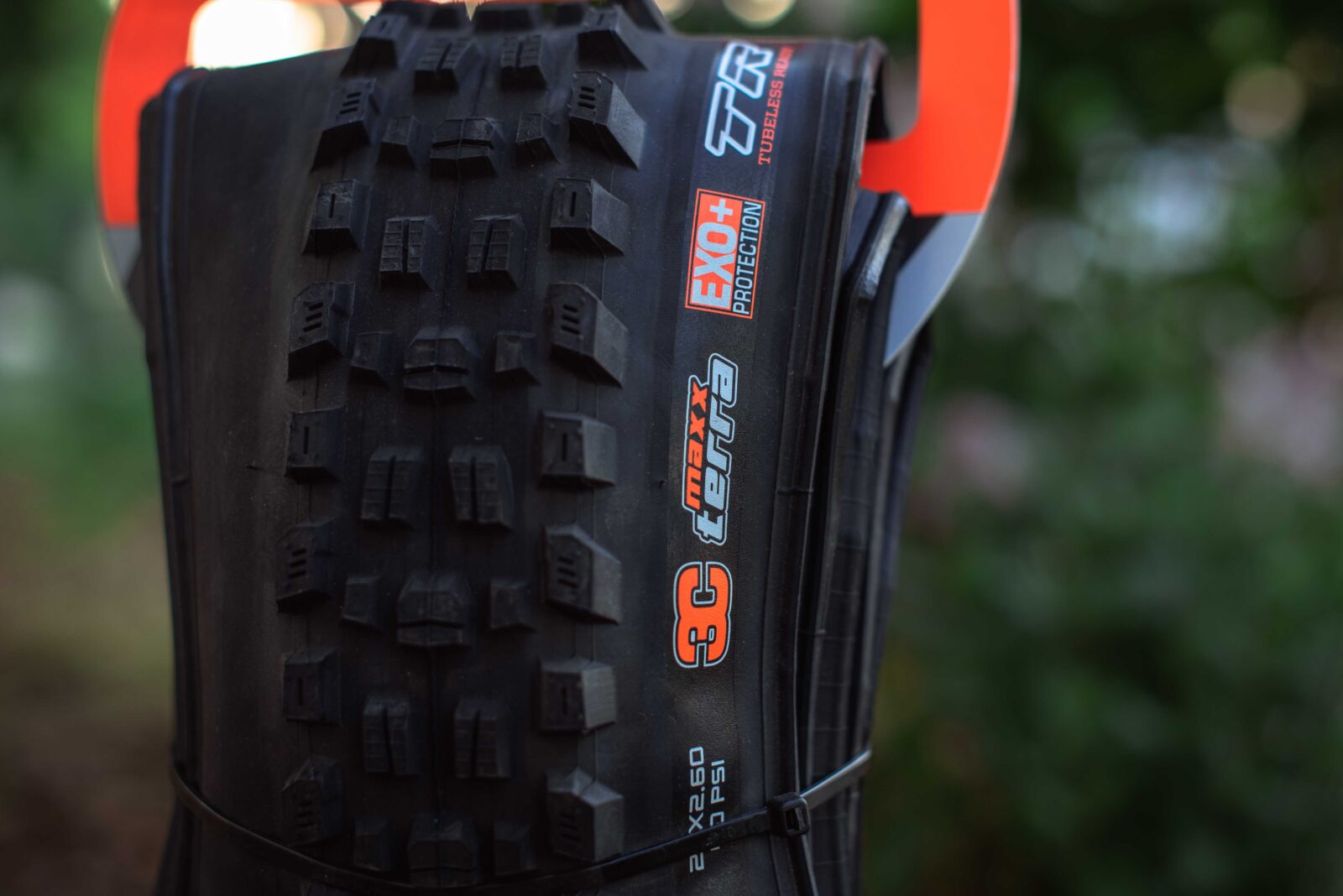 Покрышка Maxxis Assegai Black