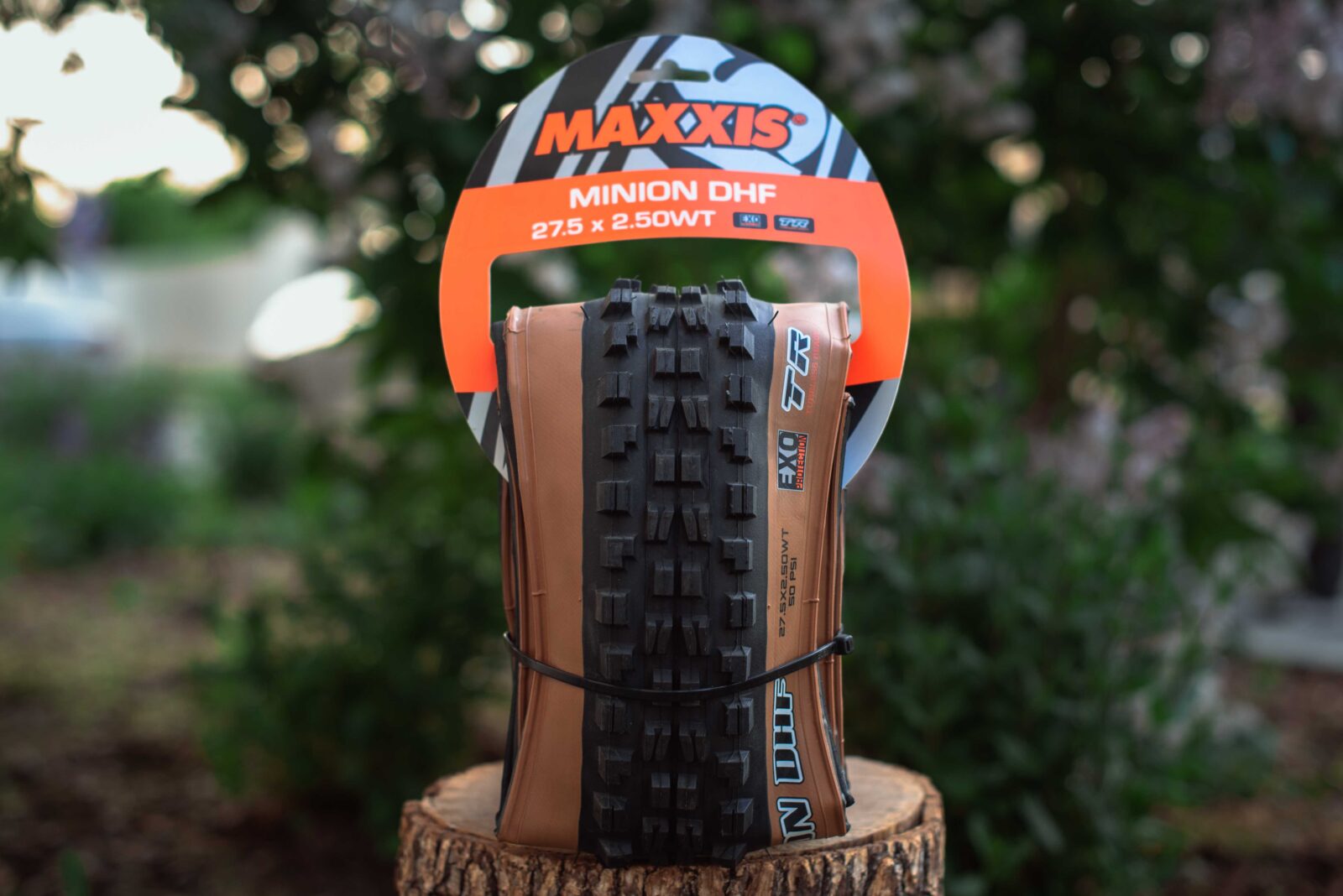 Покрышка Maxxis Minion DHF Tanwall