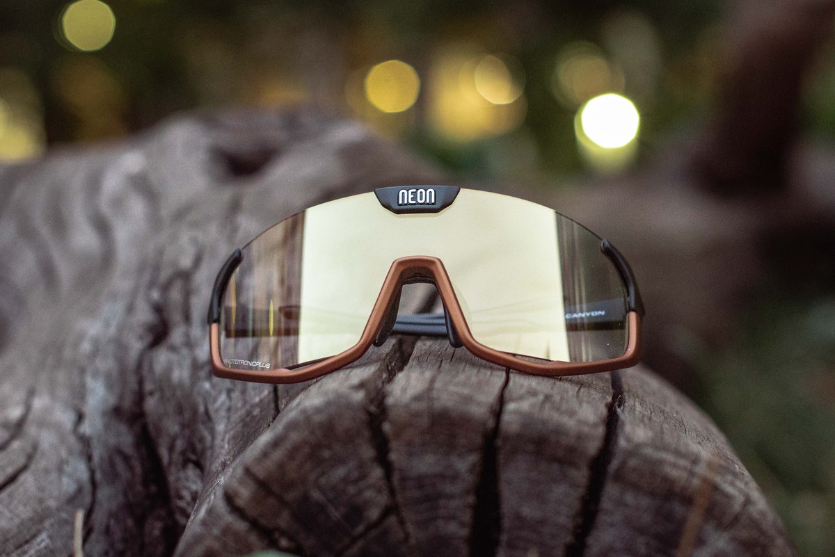 Очки Neon Canyon (Photochrom) Terra Black/Bronze