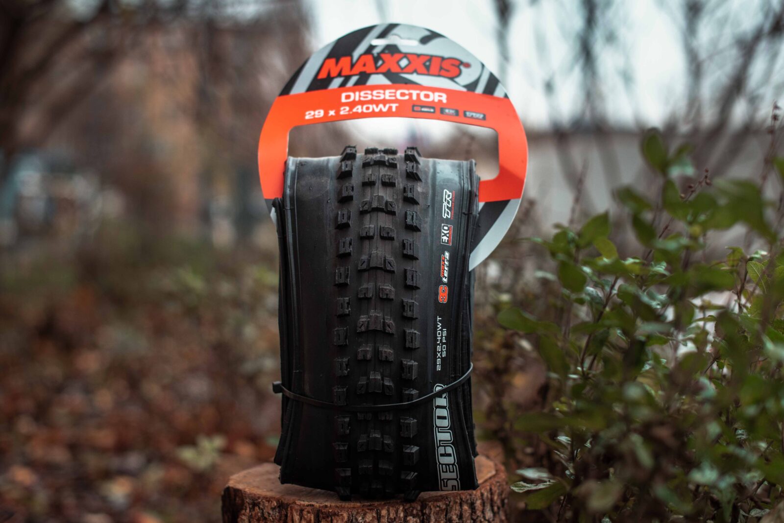 Покрышка Maxxis Dissector Black
