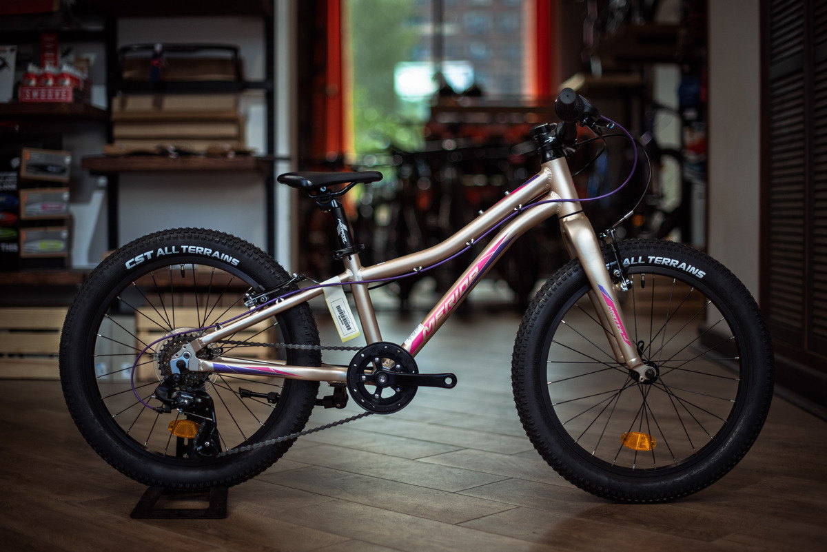 Велосипед Merida Matts J.20+ Eco MattLightSand/Berry