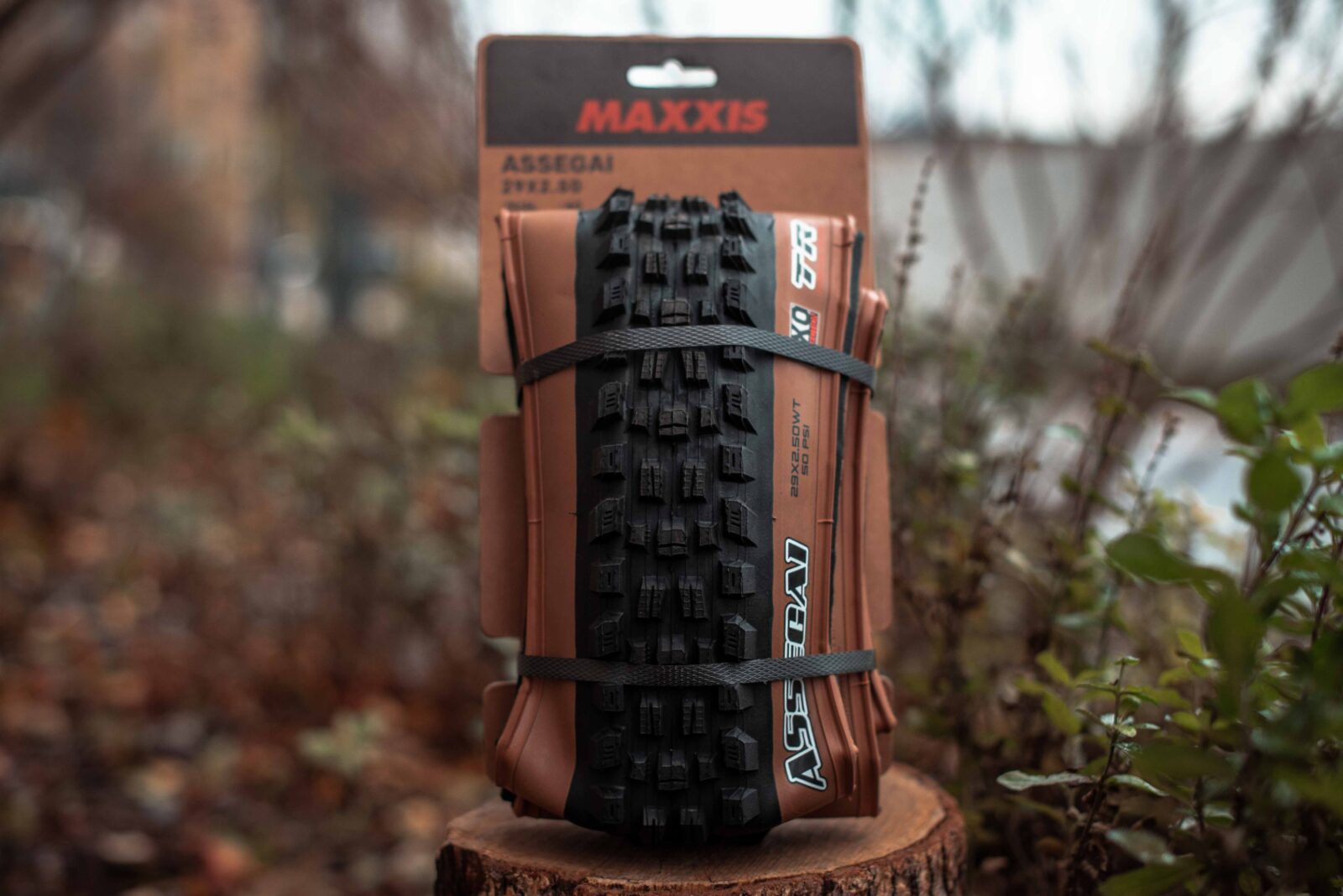 Покрышка Maxxis Assegai Tanwall