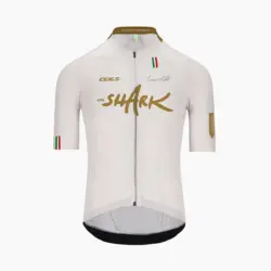 Джерси Q36.5 Gregarius Clima Nibali Olympic White