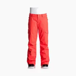 Штаны сноубордические DC Ace Candy Red